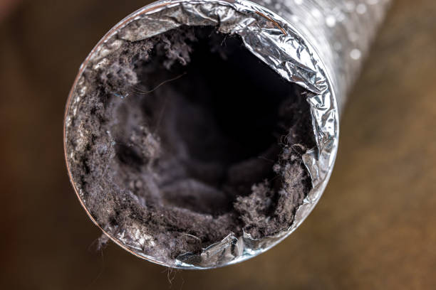 Best Air Duct Sanitizing Services  in Indian Lake, MO