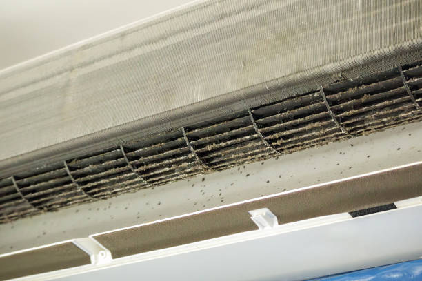 Best Commercial Air Duct Cleaning  in Indian Lake, MO